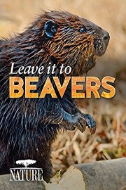 Leave it to Beavers
