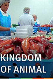 Kingdom of Animal