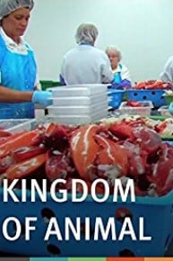 Kingdom of Animal