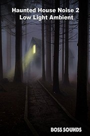 Haunted House Noise 2 Low Light Ambient Film