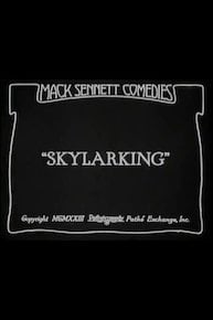 Skylarking