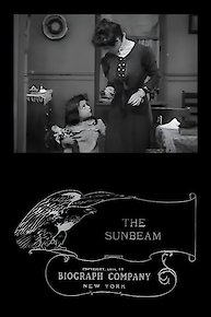 The Sunbeam