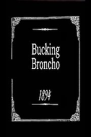 Bucking Broncho