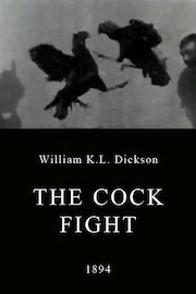 Cockfight