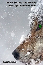 Snow Storms and Wolves Low Light Ambient Film