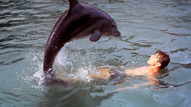 Flipper (1963) - Movies on Google Play