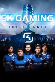 Sk Gaming: The Journey