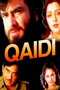 Qaidi