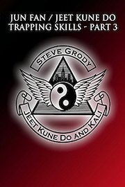 Jun Fan / Jeet Kune Do Trapping Skills Part 3