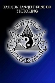 Kali/Jun Fan/Jeet Kune Do Sectoring
