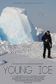 Young Ice
