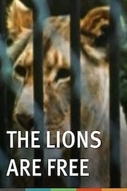 The Lions are Free