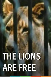 The Lions are Free