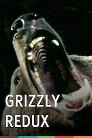 Grizzly Redux