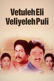 Vetuleh Eli Veliyeleh Puli