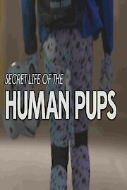 Secret Life of the Human Pups