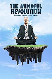 The Mindful Revolution