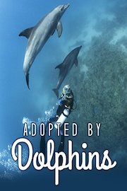 Adopted by Dolphins