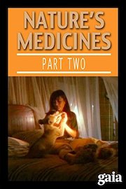 Nature's Medicines: From Homeopathy to Feng Shui