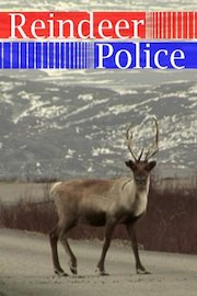 Reindeer Police