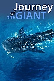 Journey Of The Giant