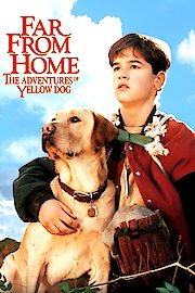 Far from Home: The Adventures of Yellow Dog