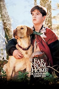 Far from Home: The Adventures of Yellow Dog