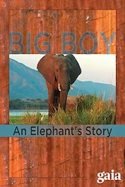 Big Boy: An Elephant's Story
