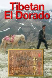Tibetan El Dorado