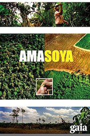 Amasoya