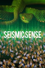 Seismic Sense