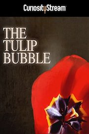 The Tulip Bubble