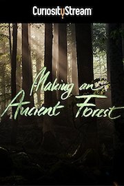 Making An Ancient Forest: Kalkalpen National Park
