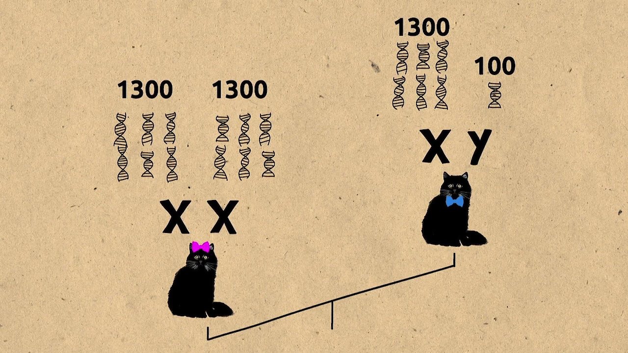 Our Genes Under Influence