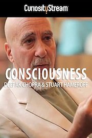 Consciousness: Stuart Hameroff Interview