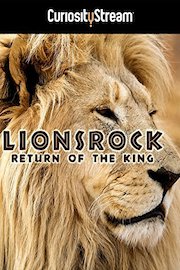 Lionsrock: Return Of The King