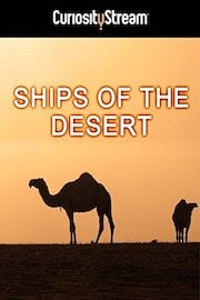 Ships Of The Desert