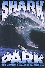Shark Park