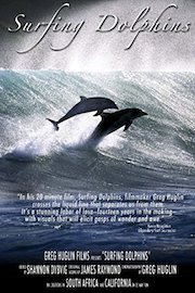 Surfing Dolphins