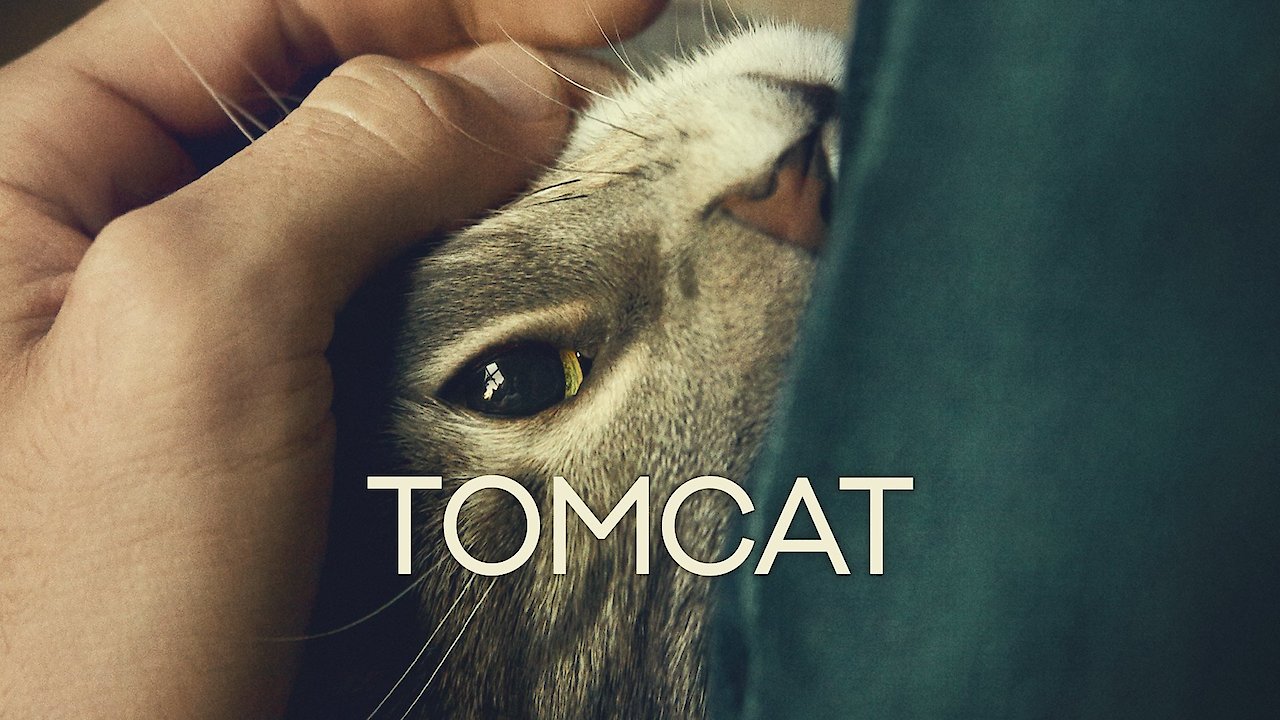 Tomcat