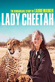 Lady Cheetah