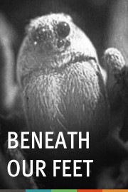 Beneath Our Feet