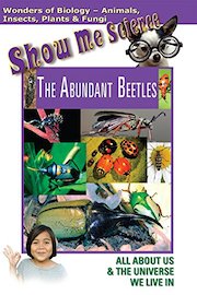 Show Me Science Biology - The Abundant Beetles