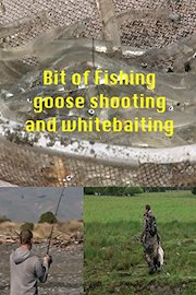 A Bit of Fishing ,Goose shooting and Whitebaiting