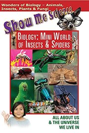 Show Me Science Biology - The Mini World Of Insects & Spiders