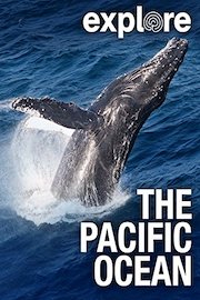 Explore: The Pacific Ocean