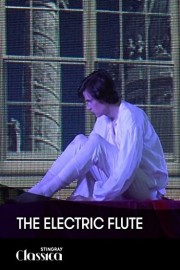 The Electric Flute