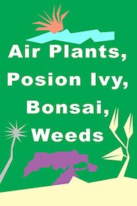 Air Plants, Poison Ivy, Bonsai, Weeds