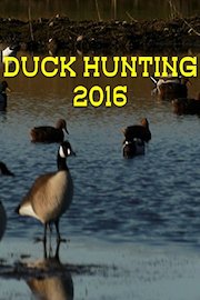 Duck hunting 2016