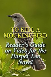 To Kill a Mockingbird: Reader's Guide on Video for the Harper Lee Novel